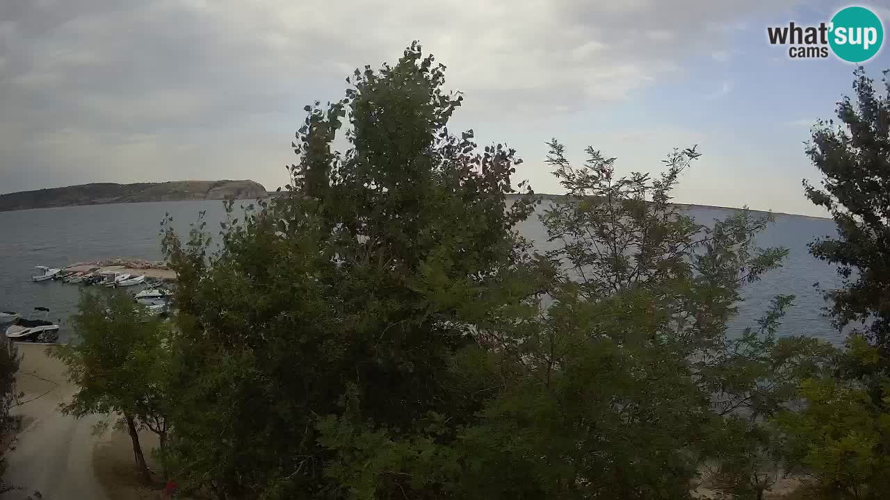 Kamp Odmoree spletna kamera Ražanac – Dalmacija