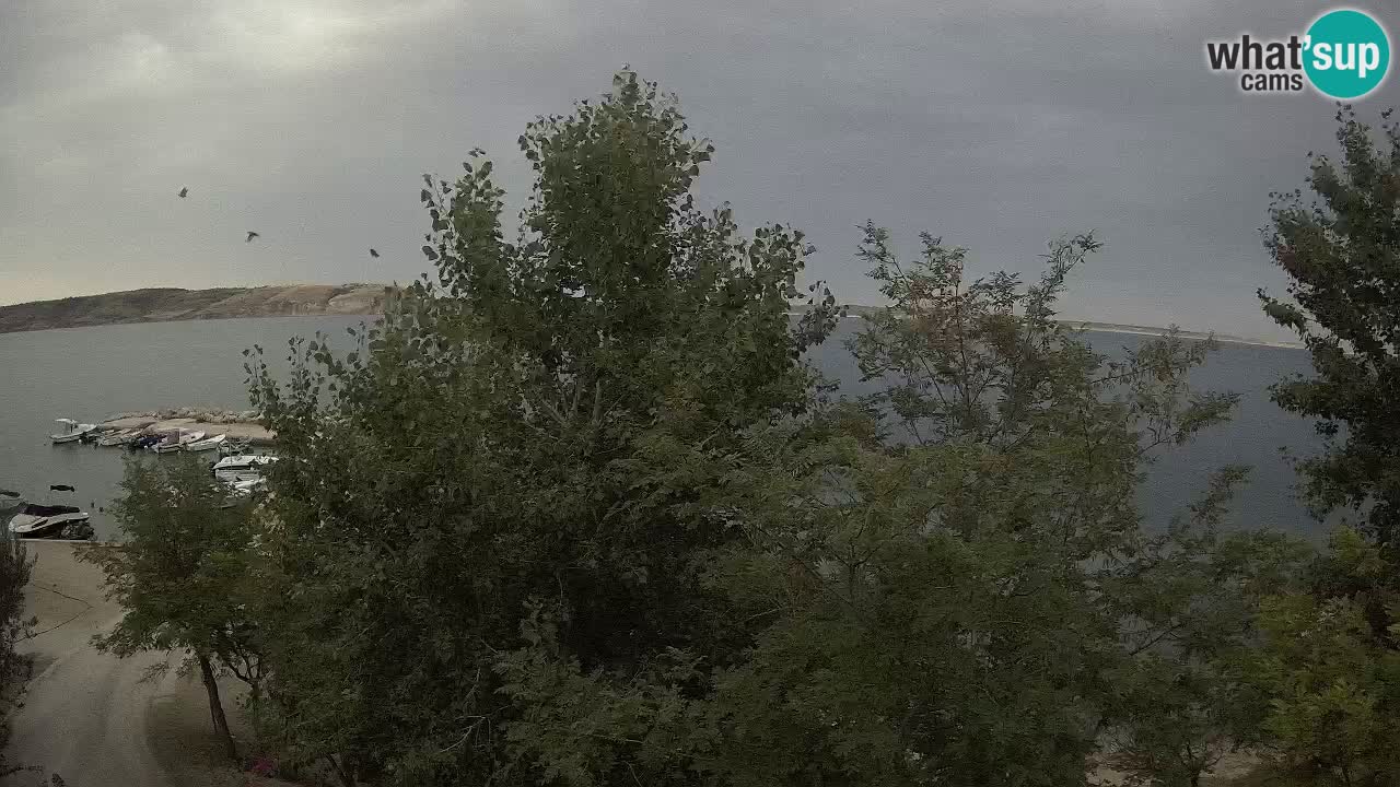 Camping Odmoree web kamera Ražanac – Dalmacija