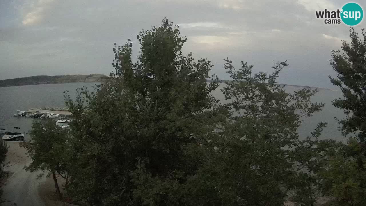 Kamp Odmoree spletna kamera Ražanac – Dalmacija