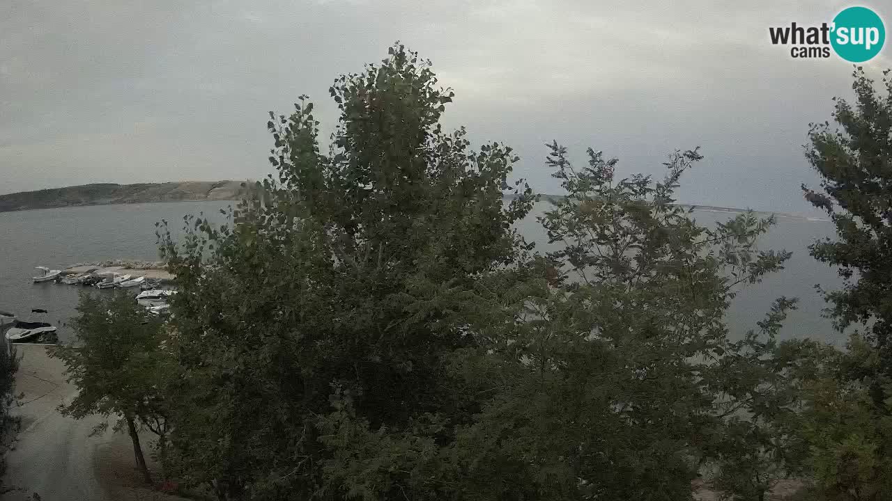 Camping Odmoree camera en vivo Ražanac – Dalmacia
