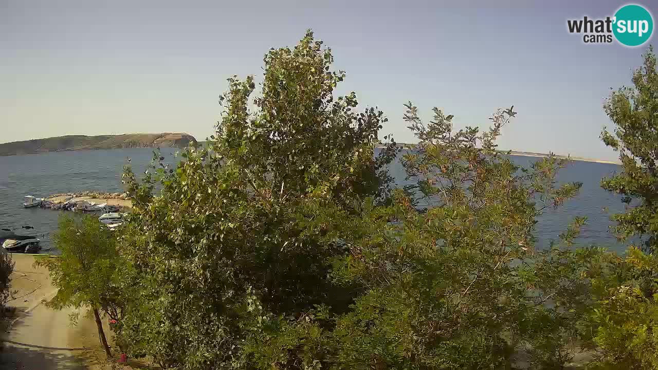 Kamp Odmoree spletna kamera Ražanac – Dalmacija