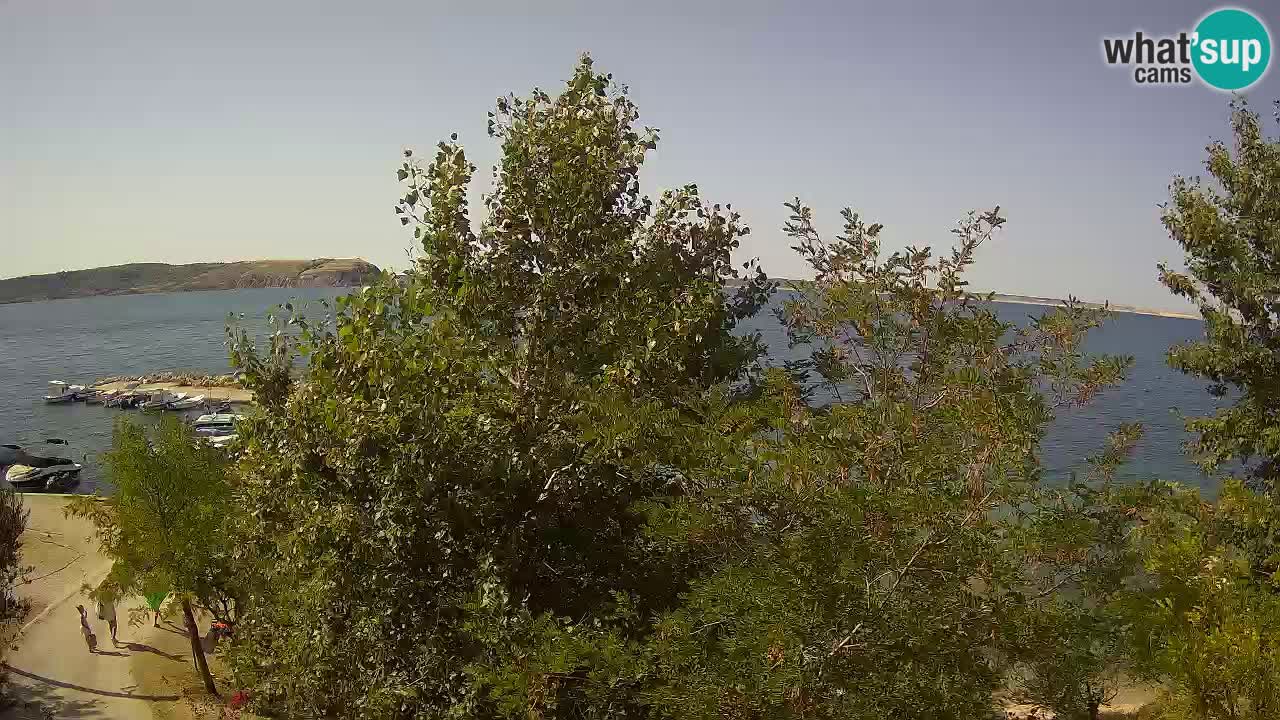 Camping Odmoree camera en vivo Ražanac – Dalmacia