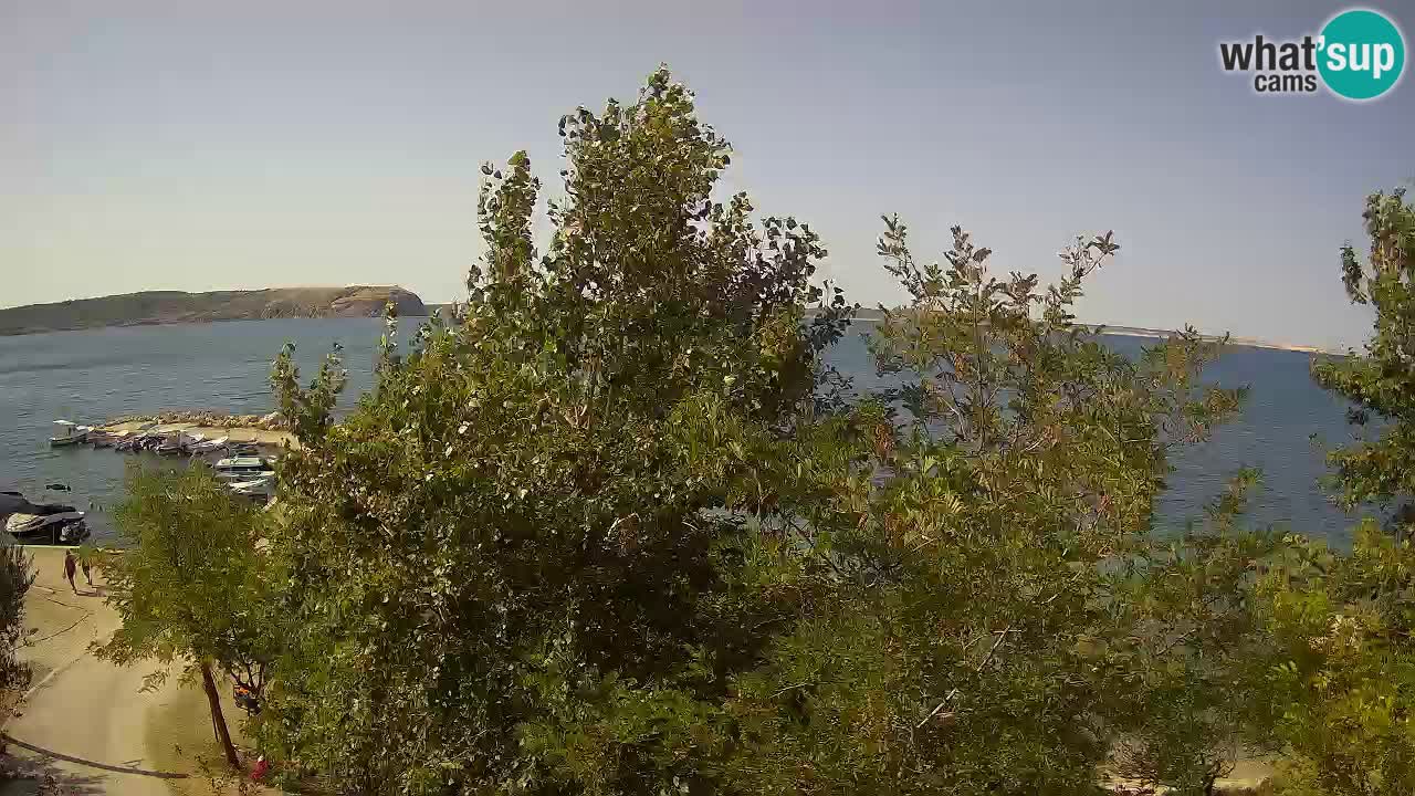 Camping Odmoree camera en vivo Ražanac – Dalmacia