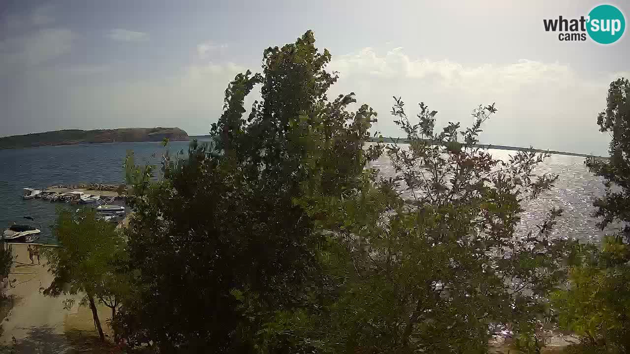 Kamp Odmoree spletna kamera Ražanac – Dalmacija