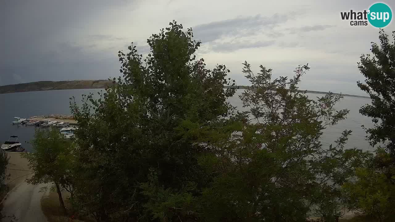 Camping Odmoree webcam Ražanac – Dalmatia