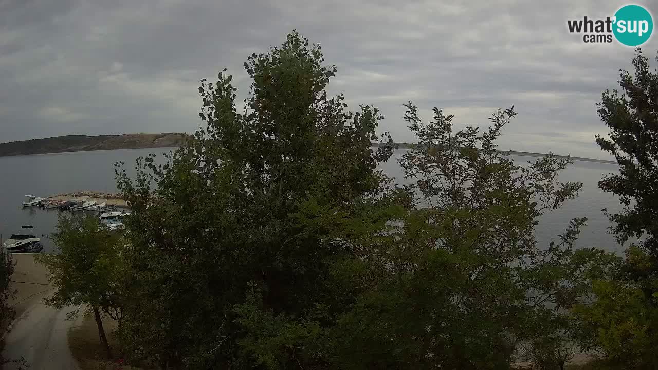 Camping Odmoree live cam Ražanac – Dalmatie