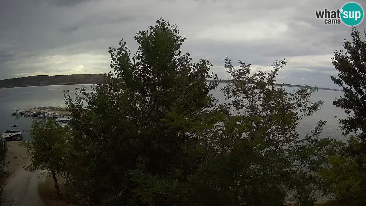 Camping Odmoree live cam Ražanac – Dalmatie