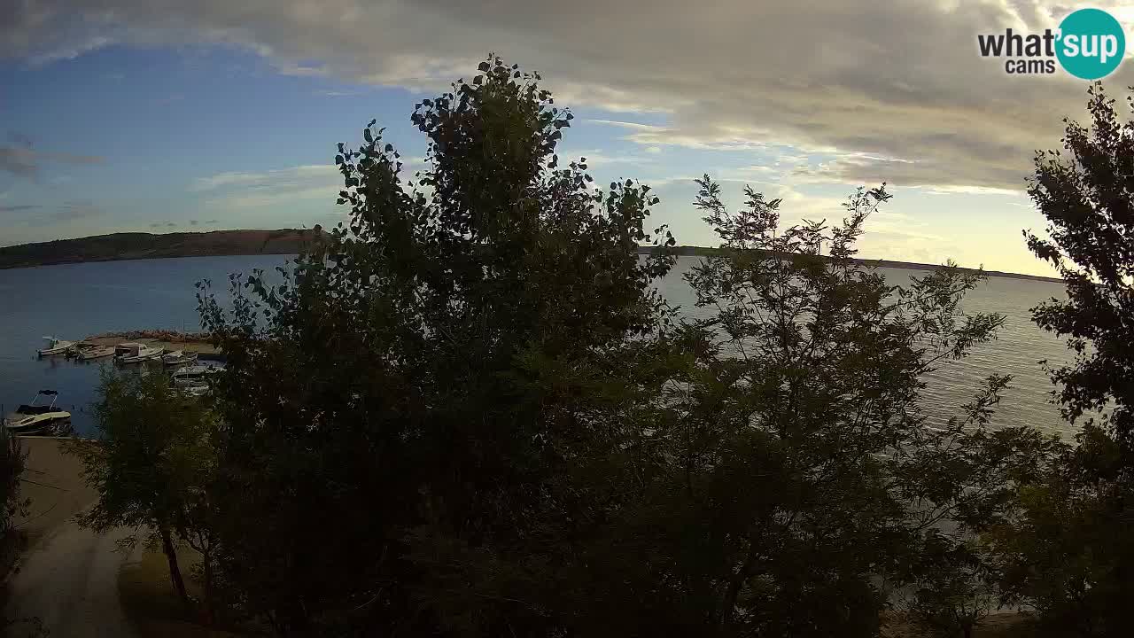 Kamp Odmoree spletna kamera Ražanac – Dalmacija