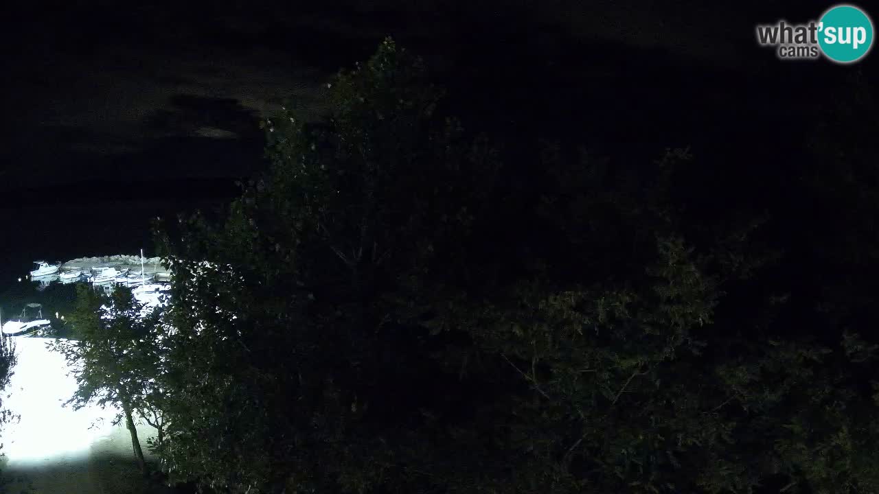 Camping Odmoree camera en vivo Ražanac – Dalmacia