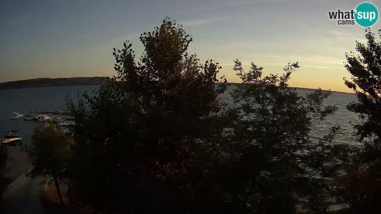Camping Odmoree camera en vivo Ražanac – Dalmacia