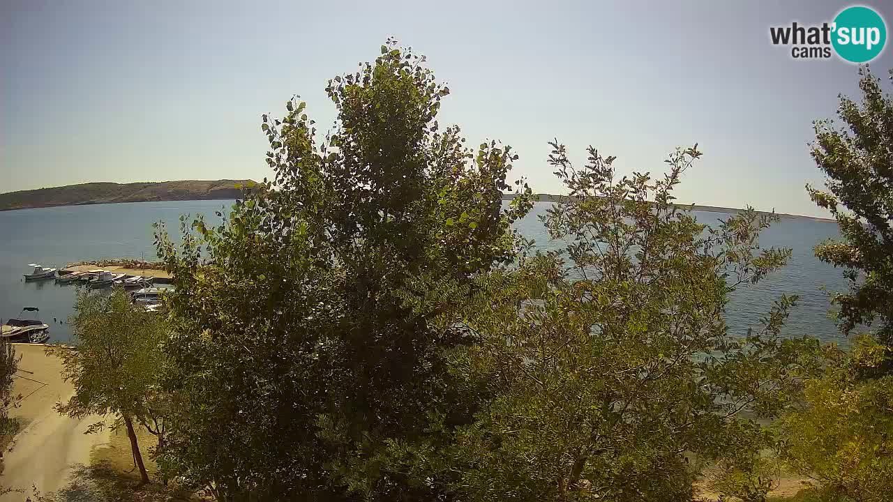 Camping Odmoree web kamera Ražanac – Dalmacija