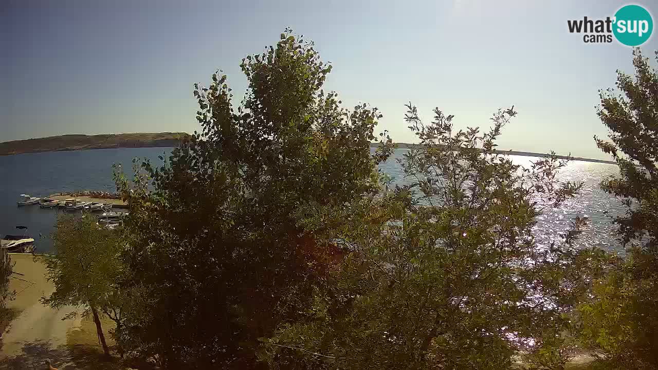 Camping Odmoree webcam Ražanac – Dalmatia