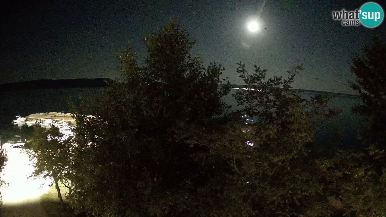 Kamp Odmoree spletna kamera Ražanac – Dalmacija