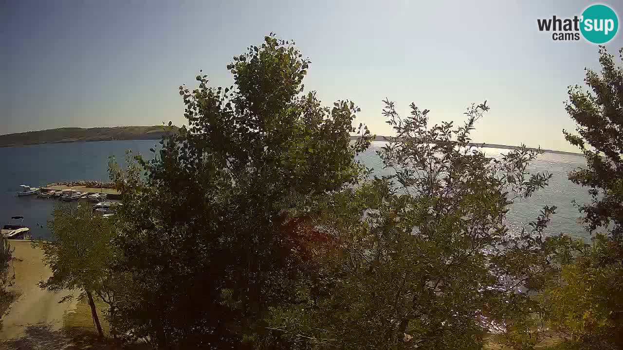 Camping Odmoree webcam Ražanac – Dalmatia