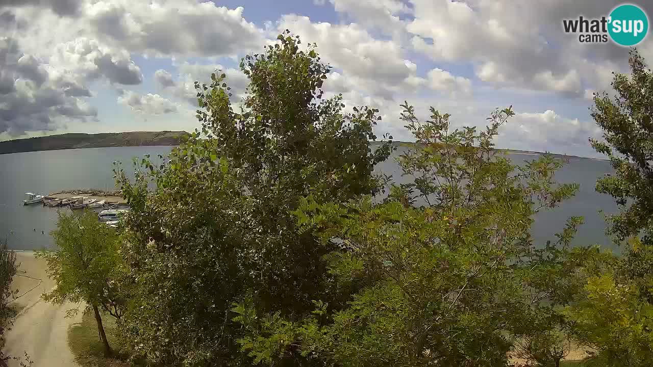 Camping Odmoree camera en vivo Ražanac – Dalmacia