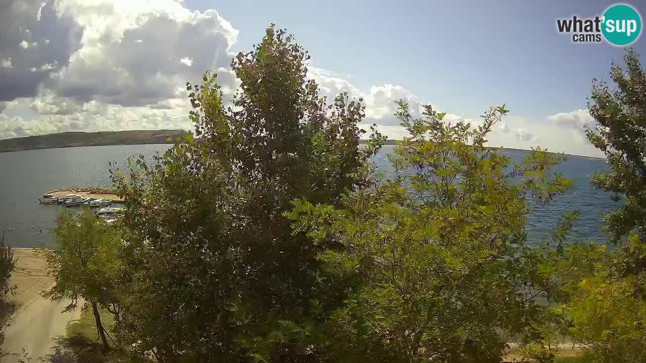 Camping Odmoree camera en vivo Ražanac – Dalmacia