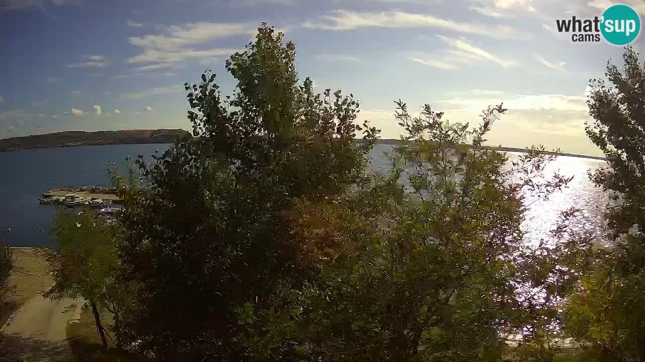 Camping Odmoree camera en vivo Ražanac – Dalmacia