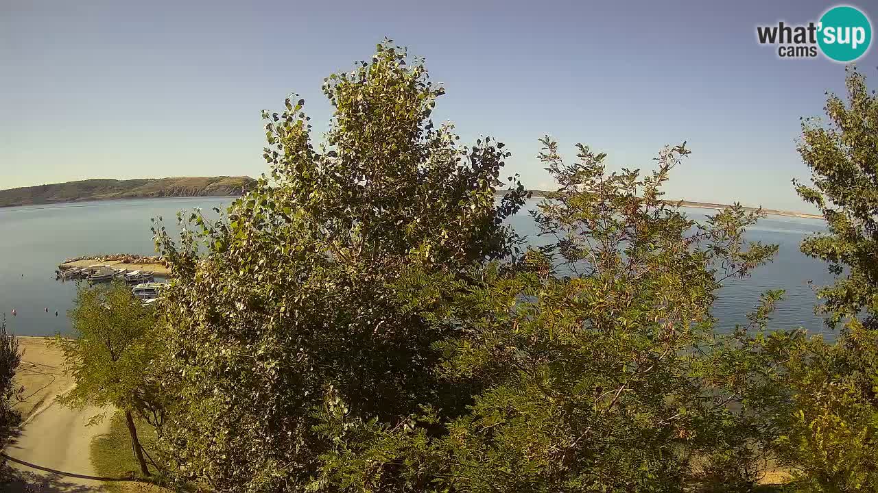 Kamp Odmoree spletna kamera Ražanac – Dalmacija