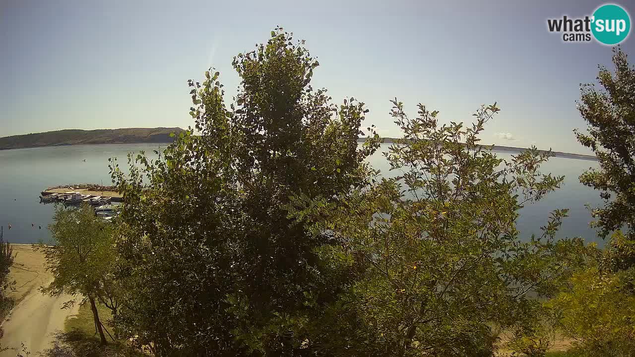Camping Odmoree web kamera Ražanac – Dalmacija
