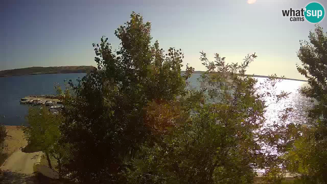 Kamp Odmoree spletna kamera Ražanac – Dalmacija