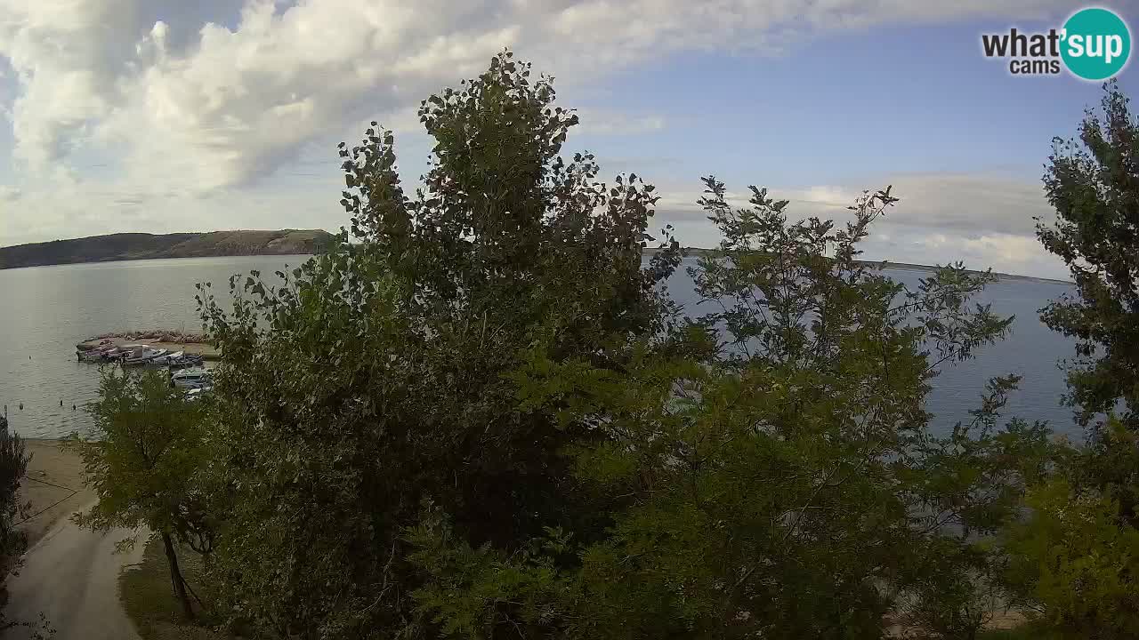 Kamp Odmoree spletna kamera Ražanac – Dalmacija