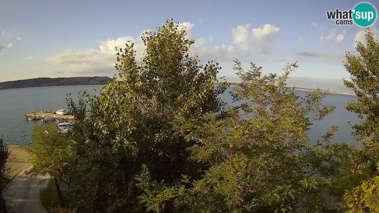 Camping Odmoree camera en vivo Ražanac – Dalmacia