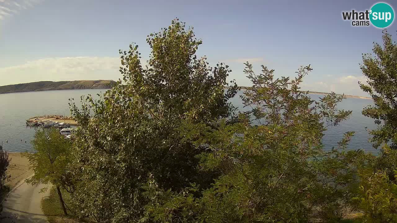 Camping Odmoree camera en vivo Ražanac – Dalmacia