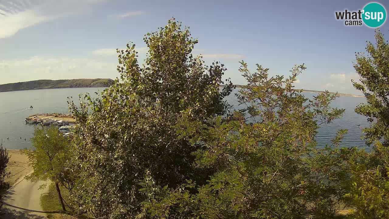 Kamp Odmoree spletna kamera Ražanac – Dalmacija