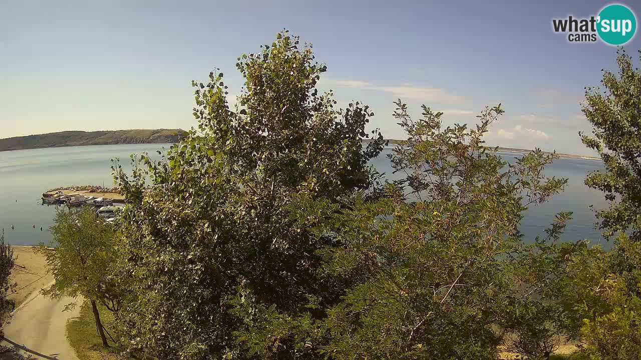 Camping Odmoree camera en vivo Ražanac – Dalmacia