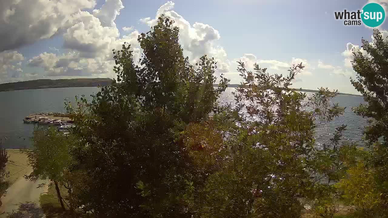 Camping Odmoree live cam Ražanac – Dalmatie