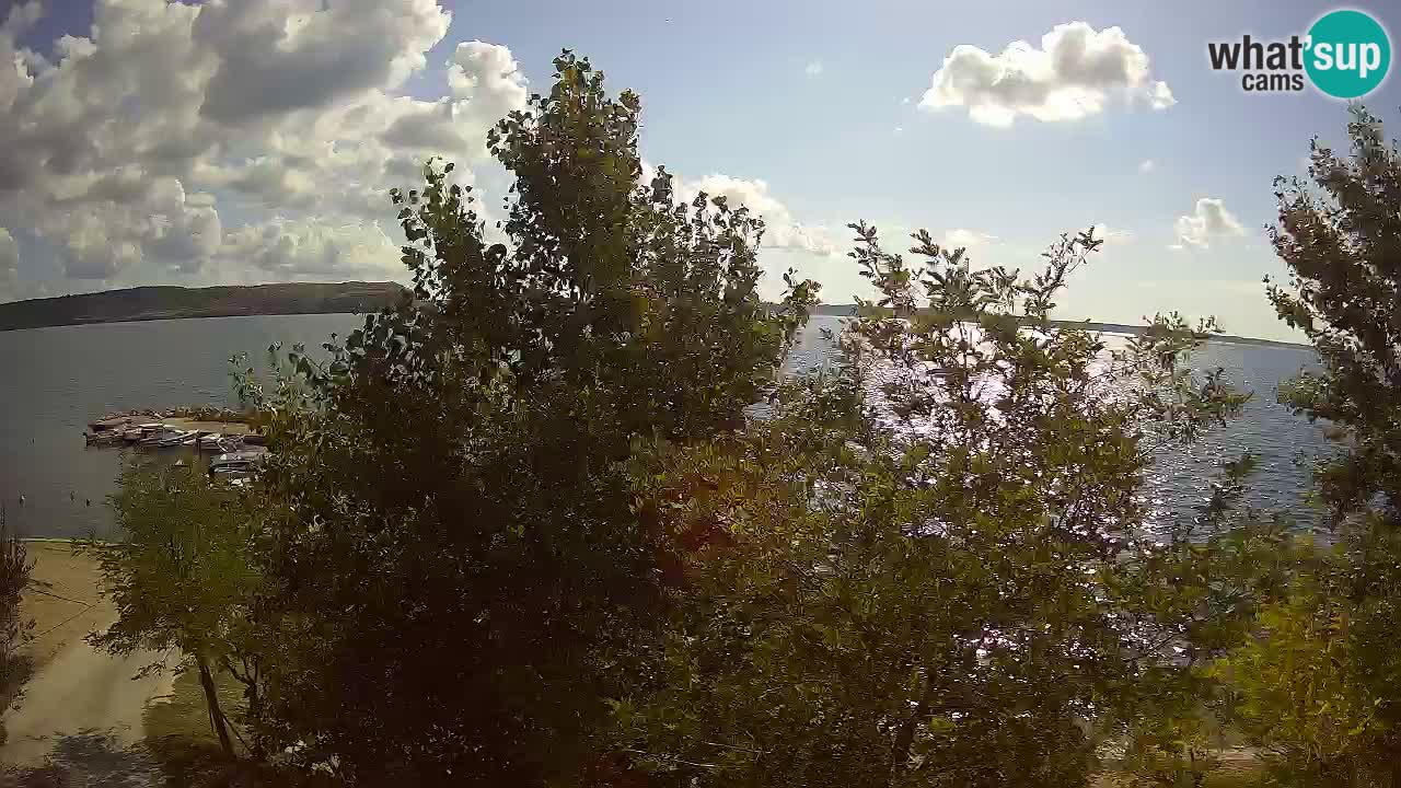 Camping Odmoree camera en vivo Ražanac – Dalmacia