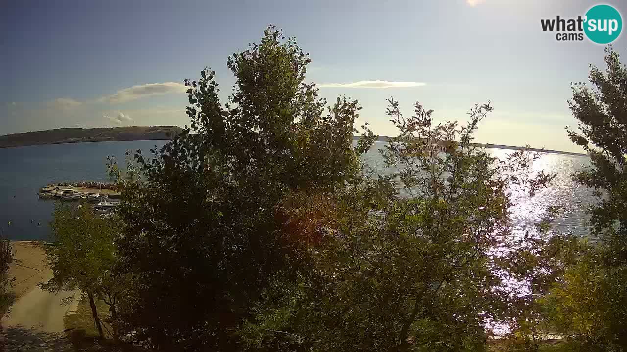Camping Odmoree web kamera Ražanac – Dalmacija