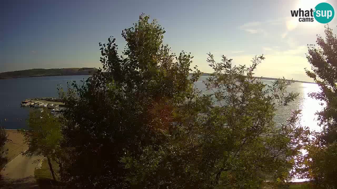 Camping Odmoree web kamera Ražanac – Dalmacija