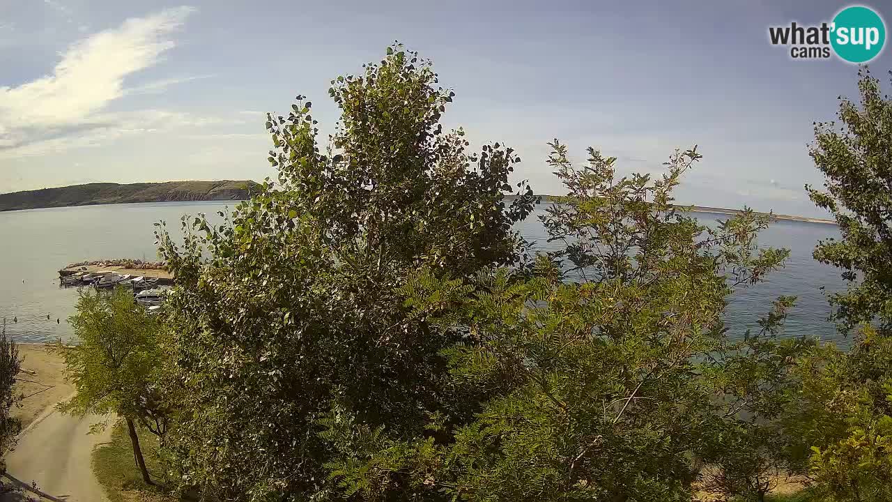 Camping Odmoree web kamera Ražanac – Dalmacija