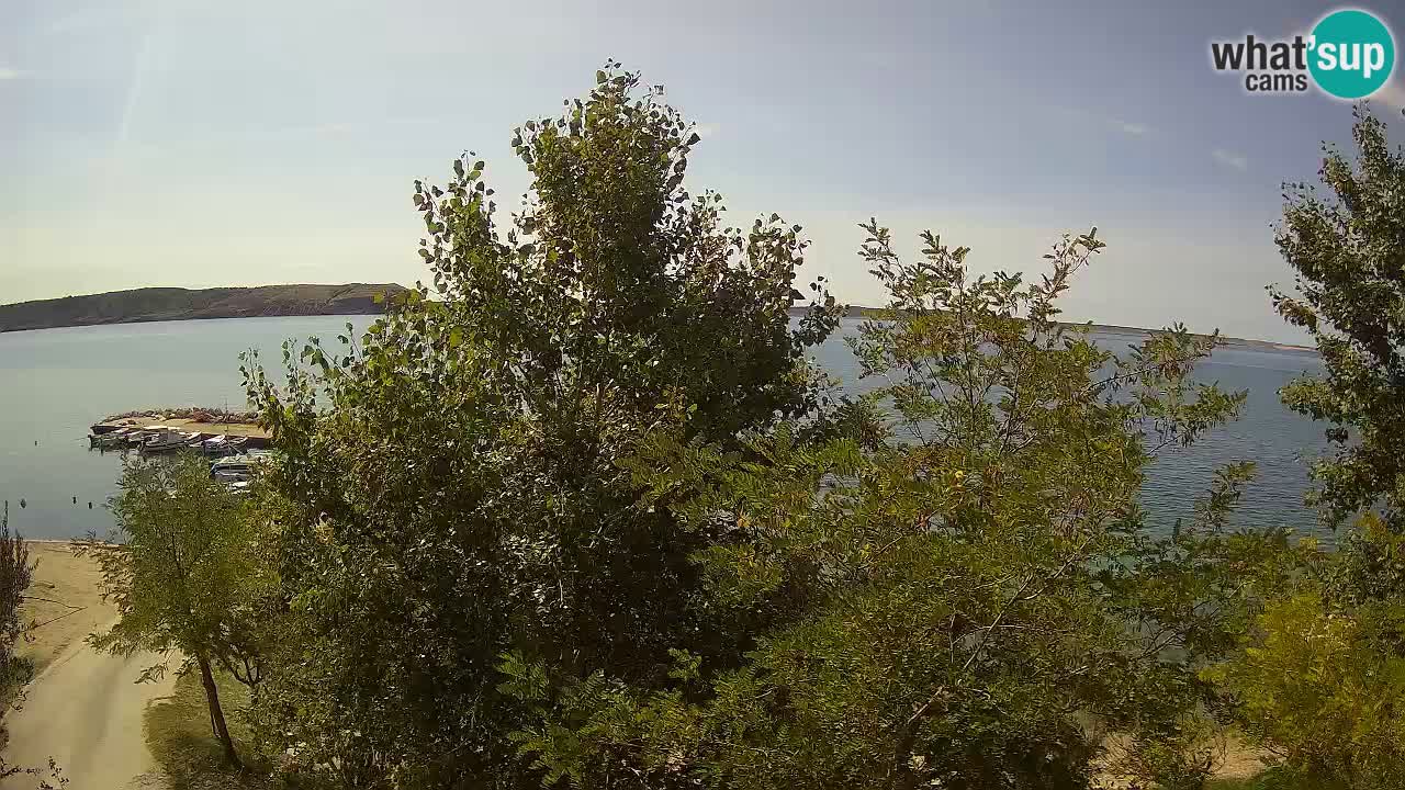 Camping Odmoree camera en vivo Ražanac – Dalmacia