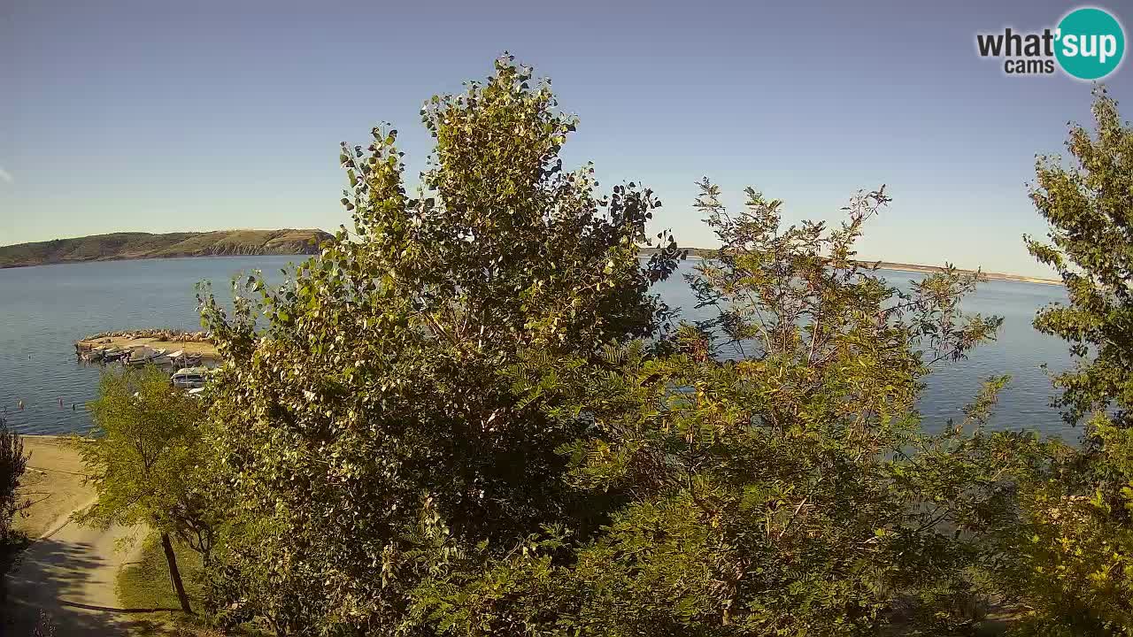 Camping Odmoree camera en vivo Ražanac – Dalmacia