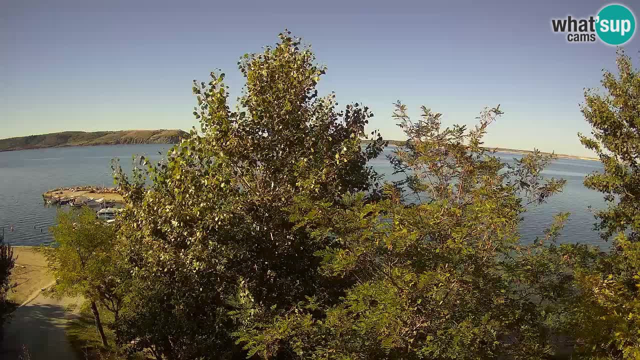 Camping Odmoree webcam Ražanac – Dalmatia