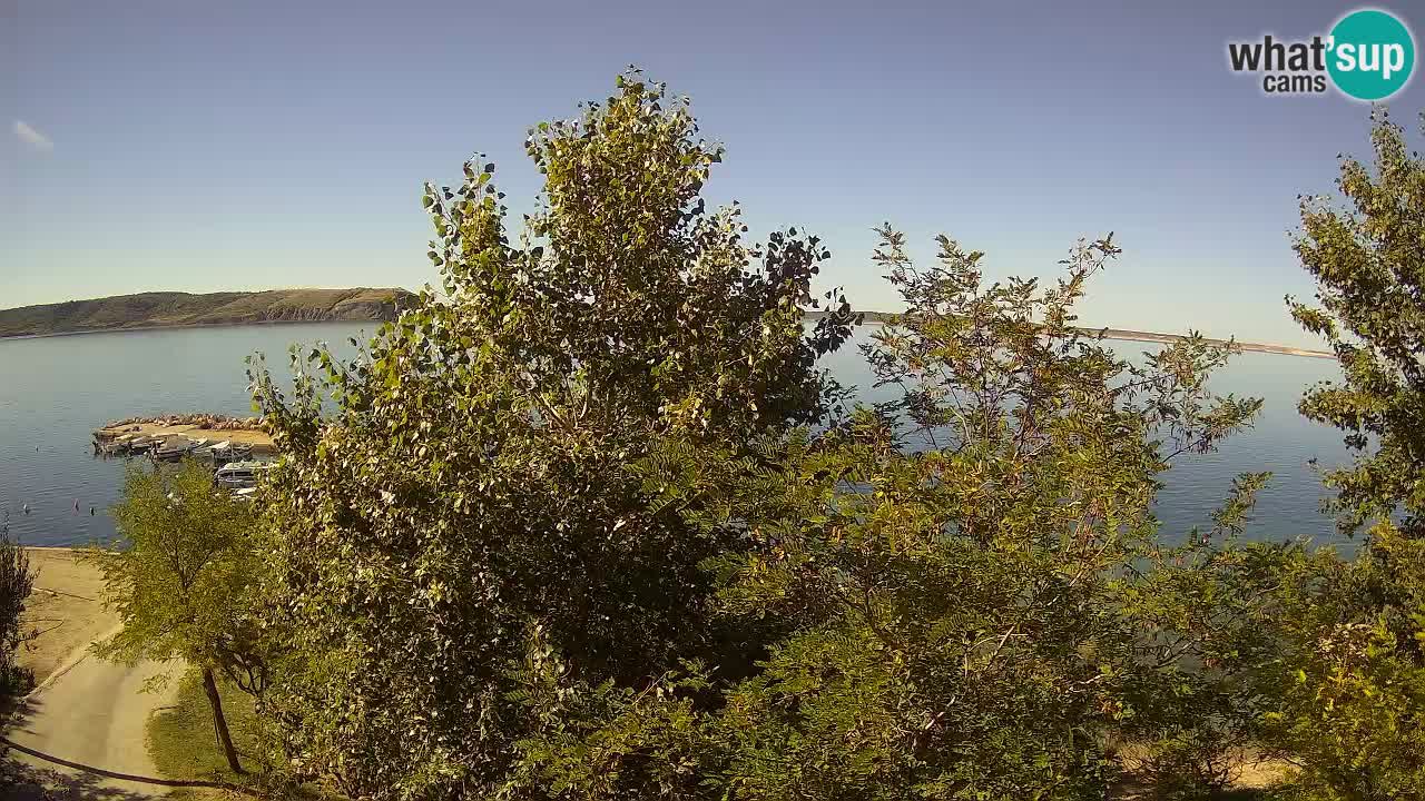 Camping Odmoree webcam Ražanac – Dalmazia