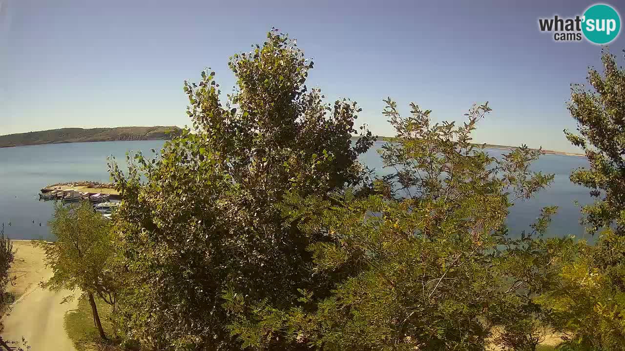 Camping Odmoree web kamera Ražanac – Dalmacija