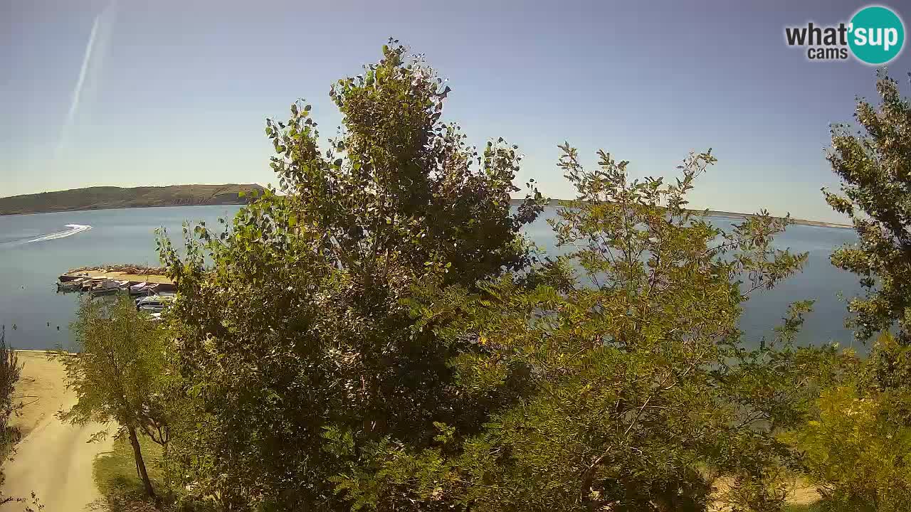 Camping Odmoree web kamera Ražanac – Dalmacija
