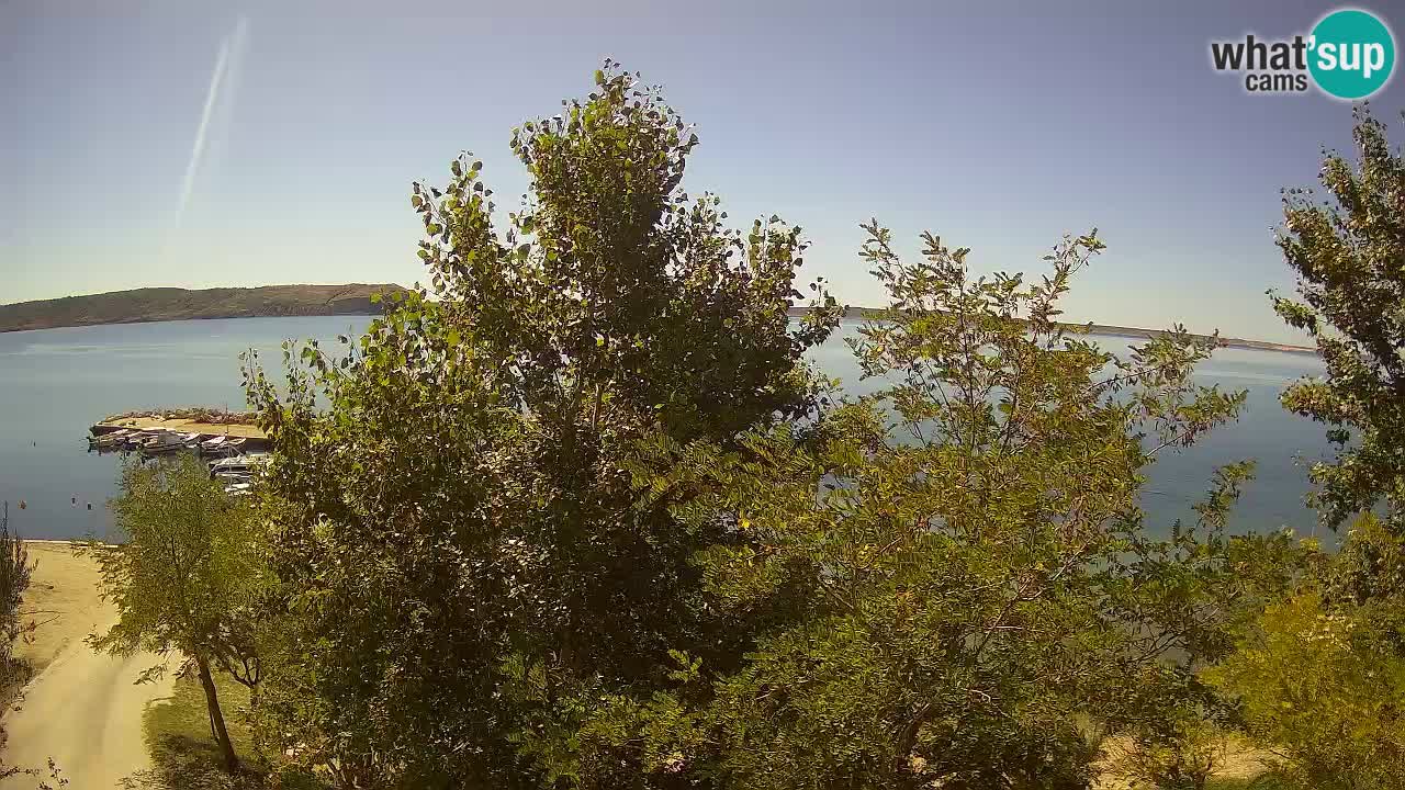 Camping Odmoree web kamera Ražanac – Dalmacija