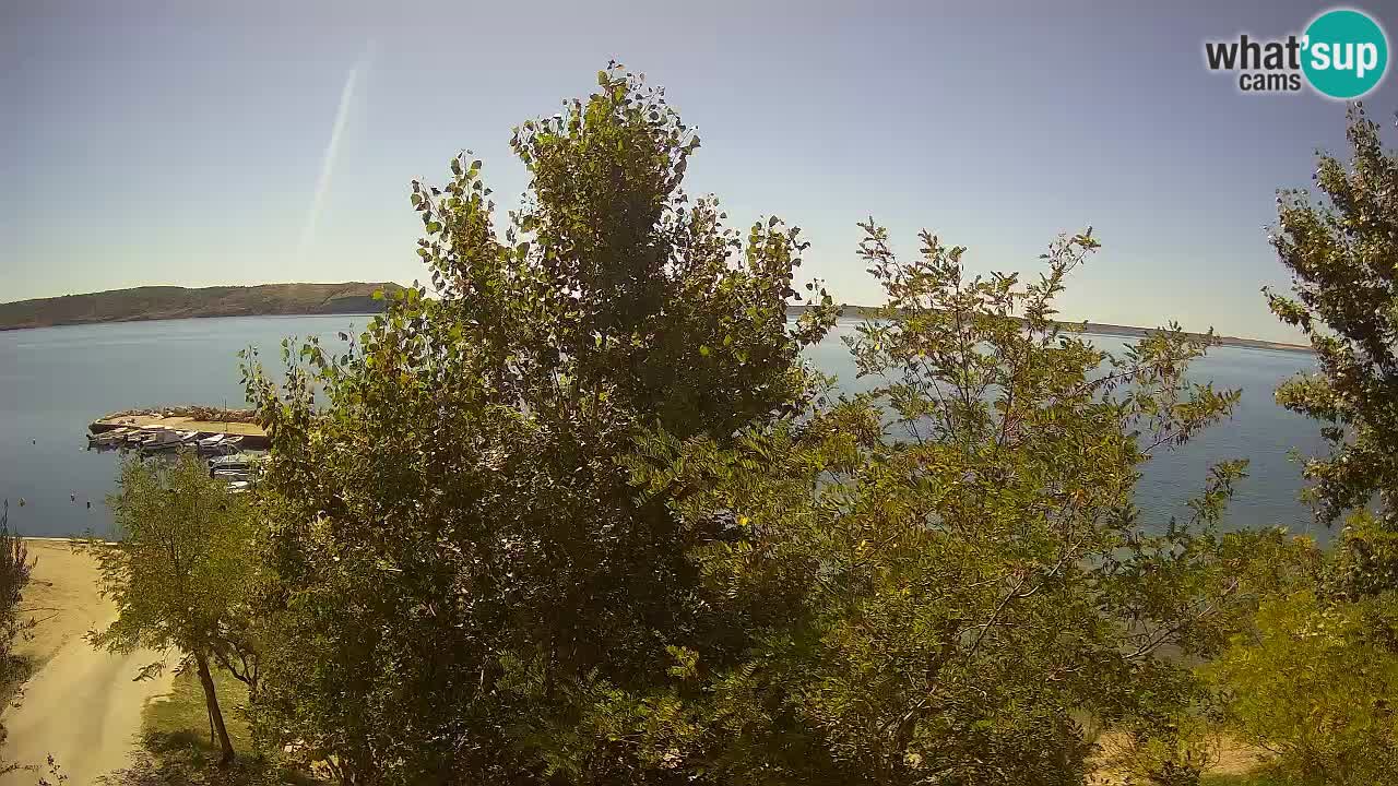 Kamp Odmoree spletna kamera Ražanac – Dalmacija