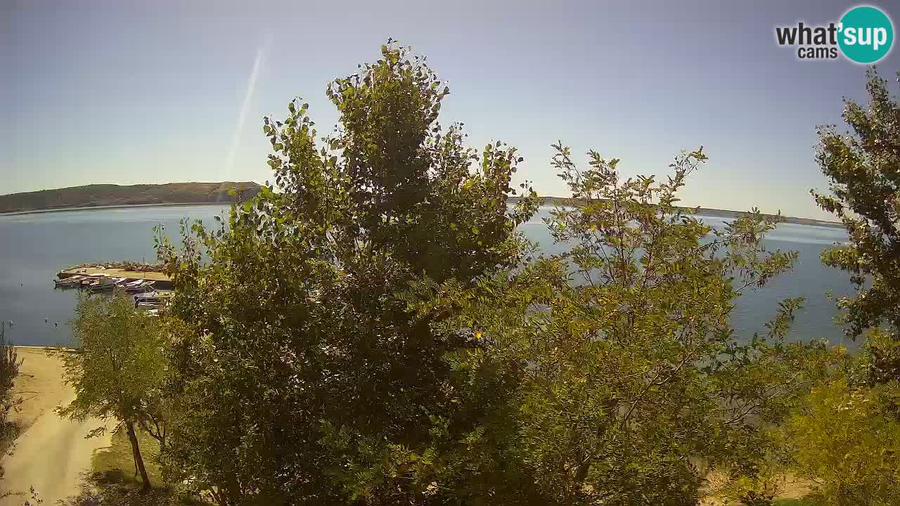 Camping Odmoree live cam Ražanac – Dalmatie