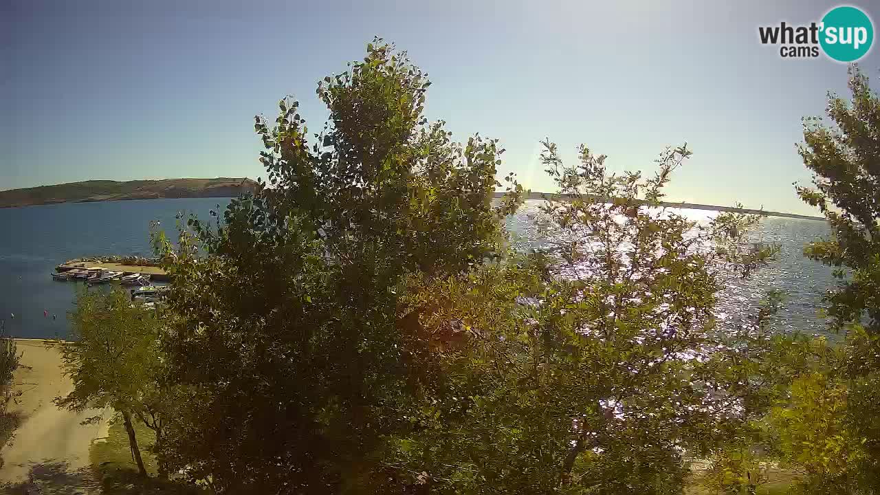 Camping Odmoree webcam Ražanac – Dalmatia