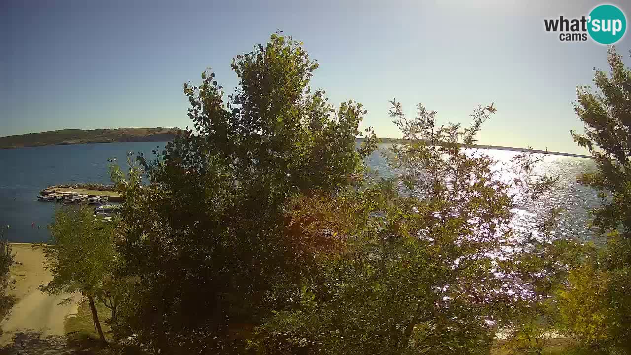 Camping Odmoree webcam Ražanac – Dalmazia