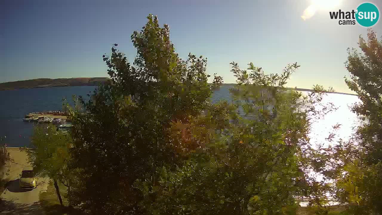 Kamp Odmoree spletna kamera Ražanac – Dalmacija