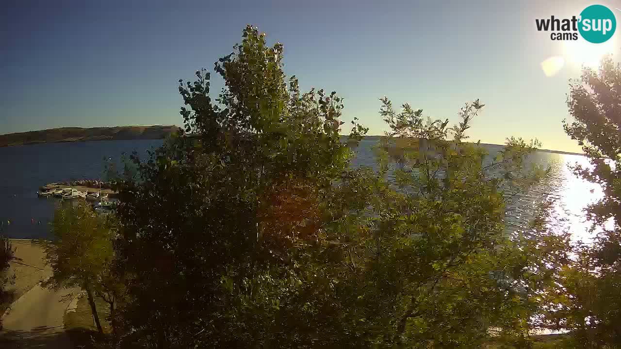 Camping Odmoree webcam Ražanac – Dalmazia