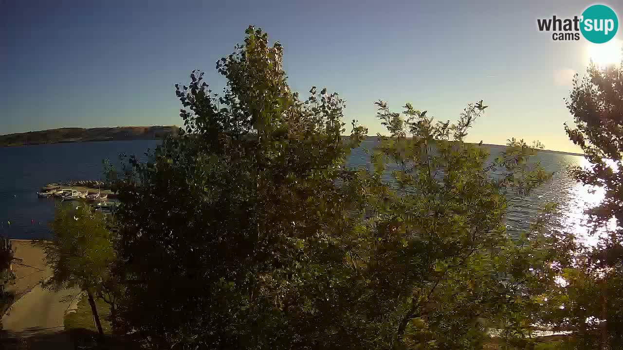 Kamp Odmoree spletna kamera Ražanac – Dalmacija
