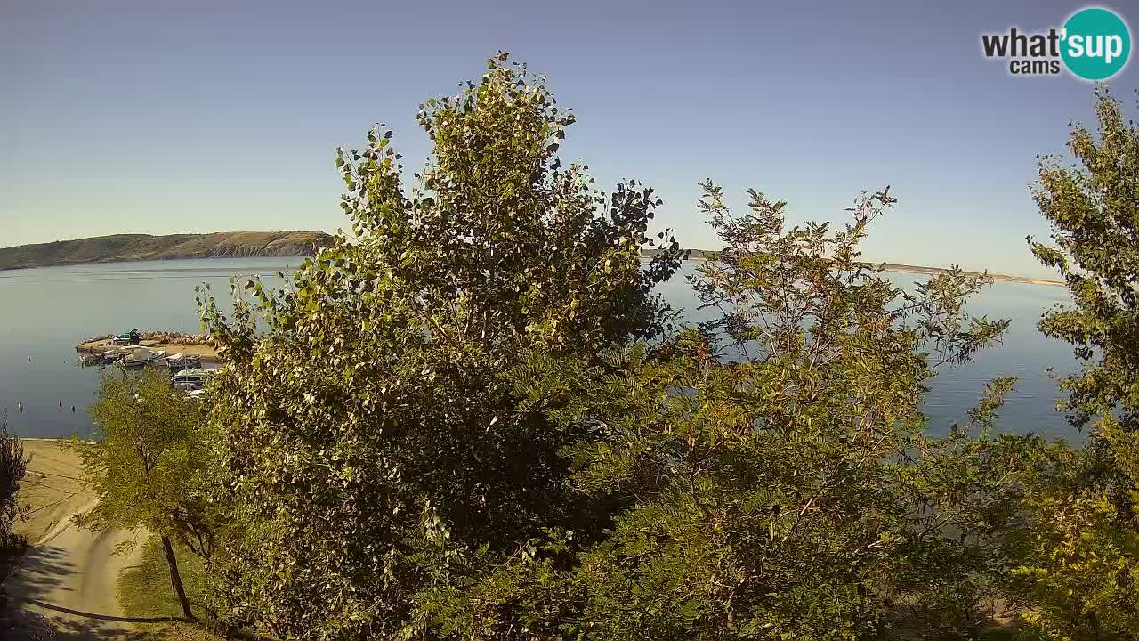 Kamp Odmoree spletna kamera Ražanac – Dalmacija