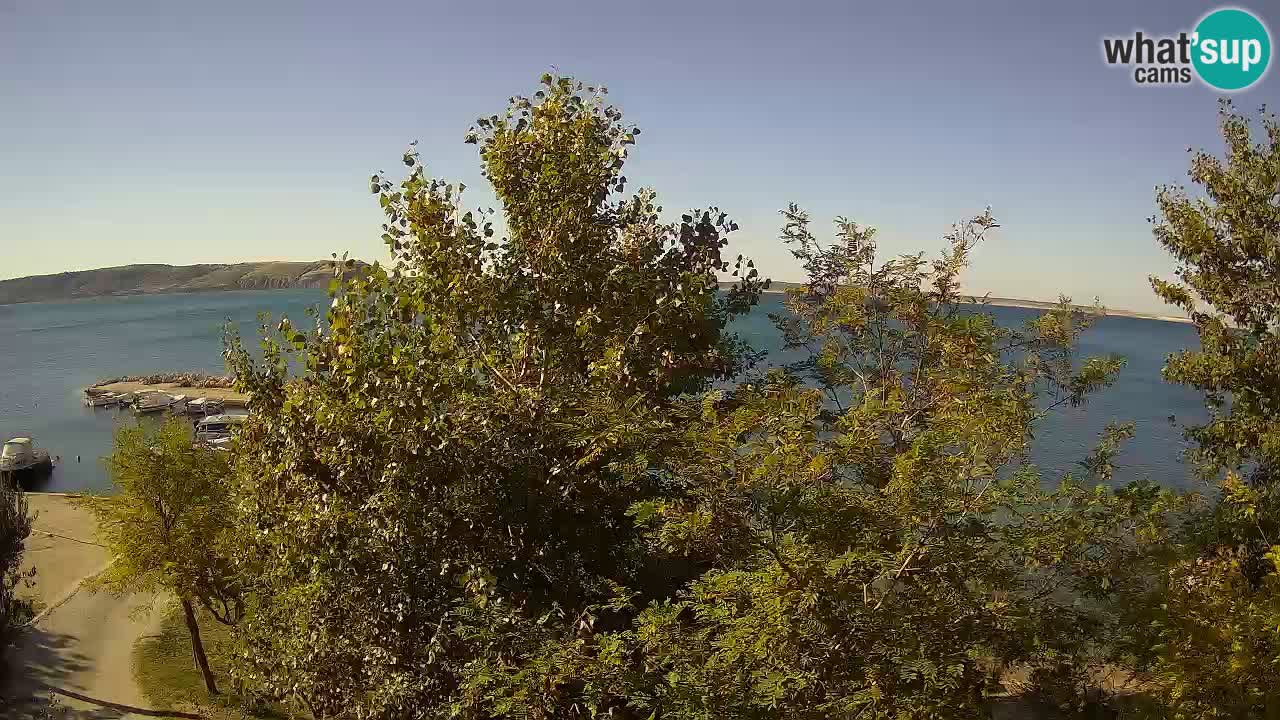 Camping Odmoree webcam Ražanac – Dalmazia